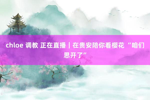 chloe 调教 正在直播｜在贵安陪你看樱花 “咱们思开了”