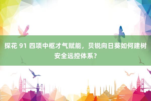 探花 91 四项中枢才气赋能，贝锐向日葵如何建树安全远控体系？