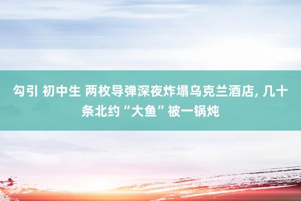 勾引 初中生 两枚导弹深夜炸塌乌克兰酒店, 几十条北约“大鱼”被一锅炖