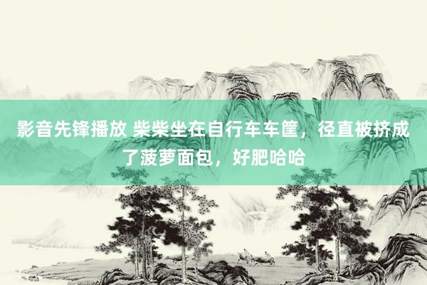 影音先锋播放 柴柴坐在自行车车筐，径直被挤成了菠萝面包，好肥哈哈
