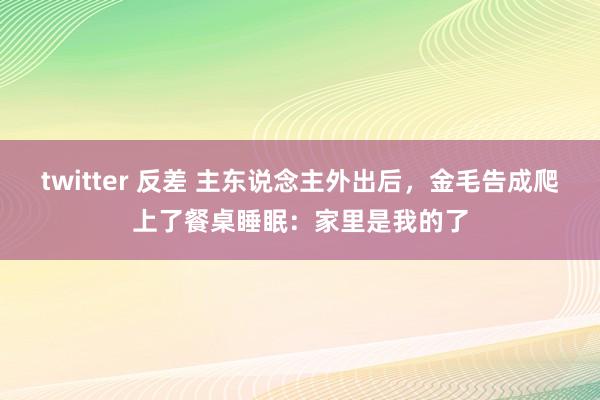 twitter 反差 主东说念主外出后，金毛告成爬上了餐桌睡眠：家里是我的了