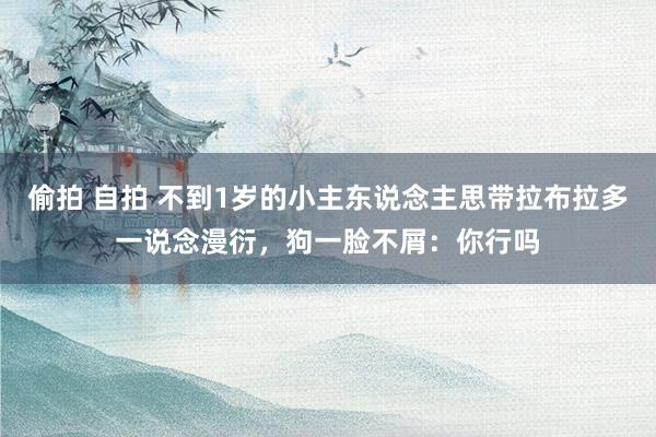 偷拍 自拍 不到1岁的小主东说念主思带拉布拉多一说念漫衍，狗一脸不屑：你行吗